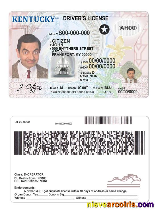 USA Kentucky driving license